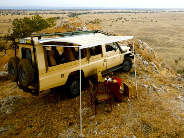 Tarangire Treetops - game drive